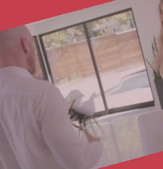 国产污污视频,中文熟妇亚洲视频观看