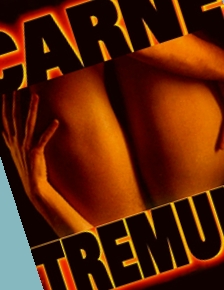 免费观看AV毛片,午夜成年福利