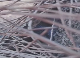 人妻无码AⅤ在线一区二区视频,av少妇无码一区二区三区