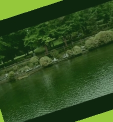 91视屏毛片,琪琪无码视频欧美