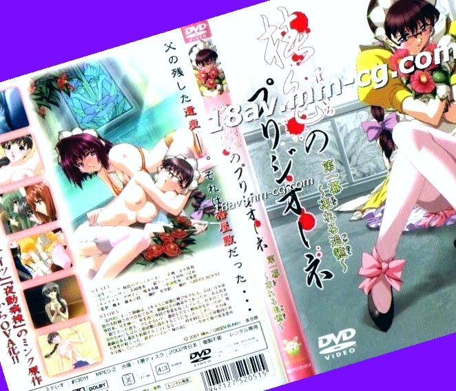 日韩精品少妇,麻豆福利在线观看