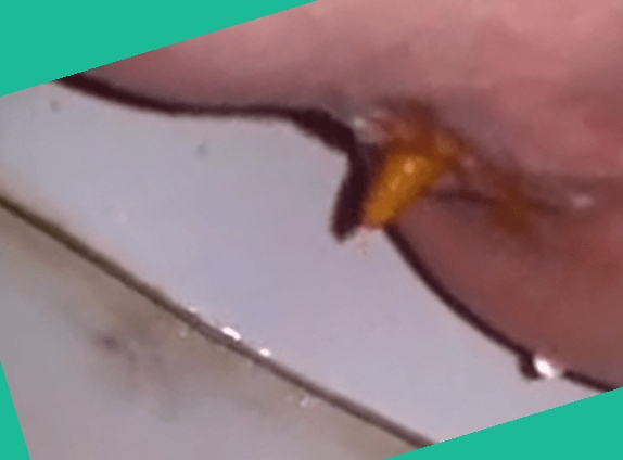 香蕉视频女优,偷拍综合吃瓜一区